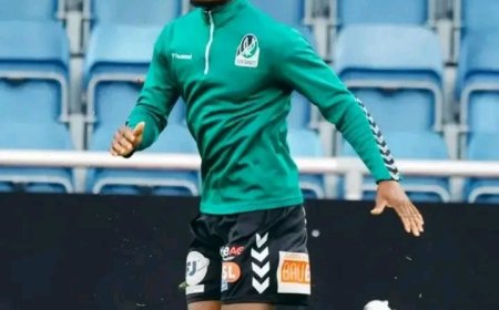 Ghana Defender Lumor Agbenyenu Bags First Silverware in Austria with SV Ried